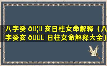 八字癸 🦉 亥日柱女命解释（八字癸亥 🐒 日柱女命解释大全）